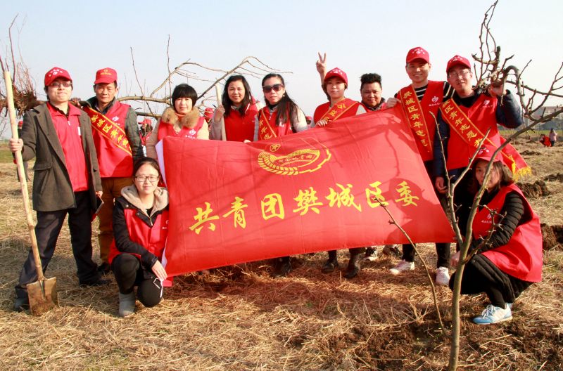 植树活动17-2-11 7