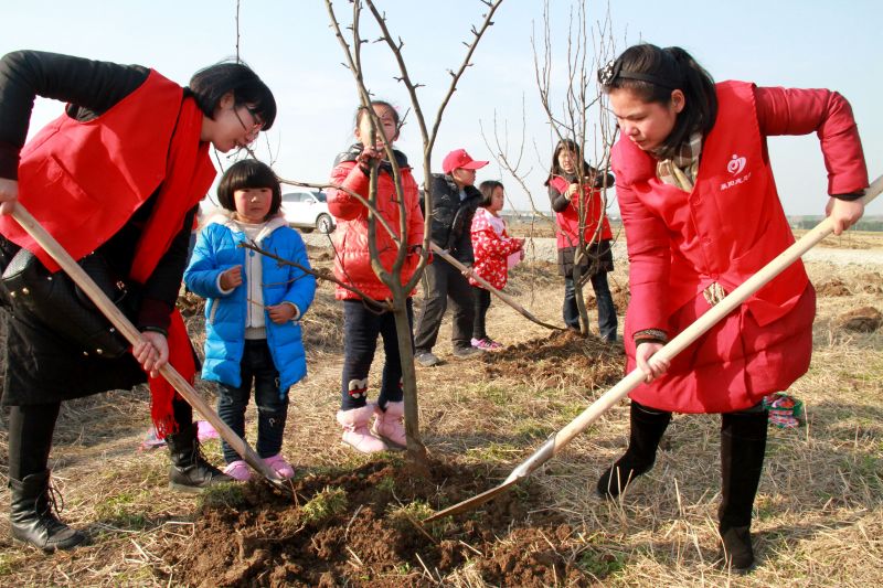 植树活动17-2-11 4