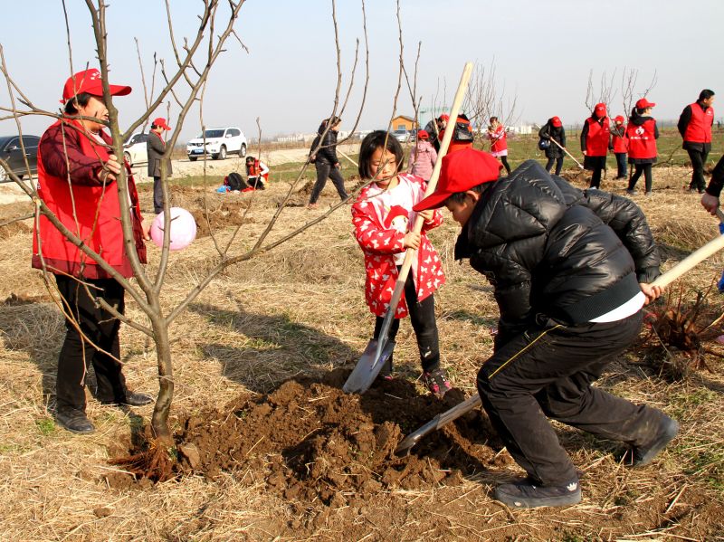 植树活动17-2-11 10