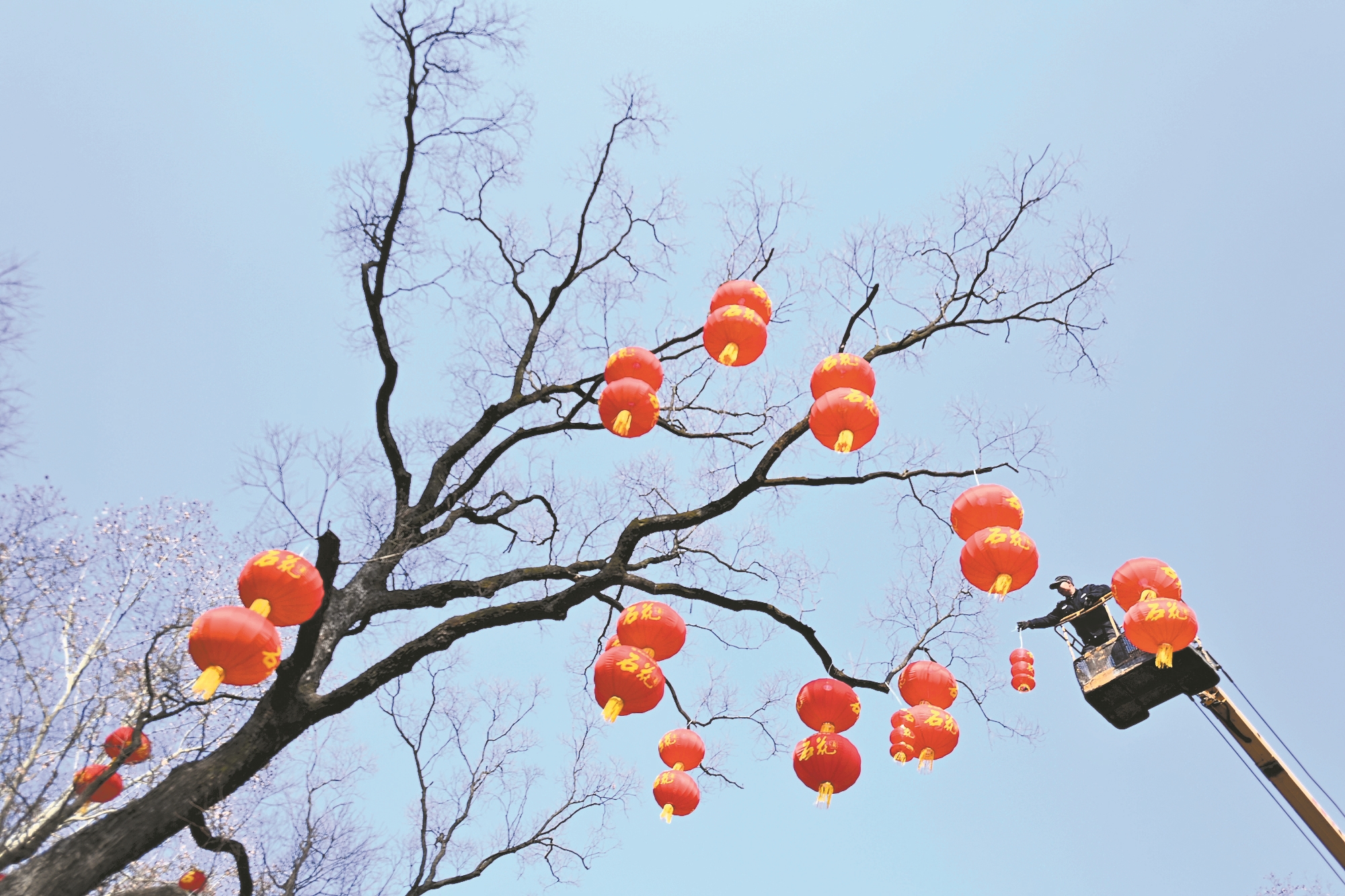 大红灯笼高高挂
