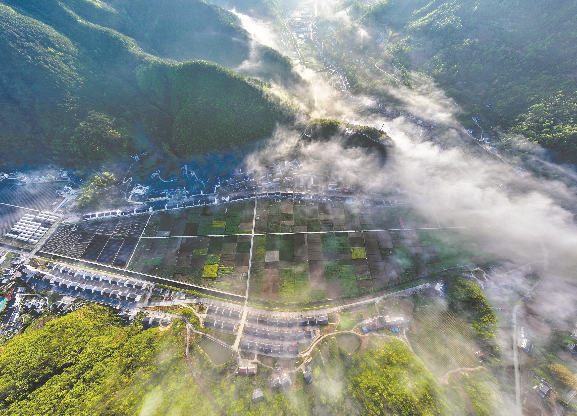 田野奏响"春之曲" ——保康推进农业绿色转型促进提质增效掠影