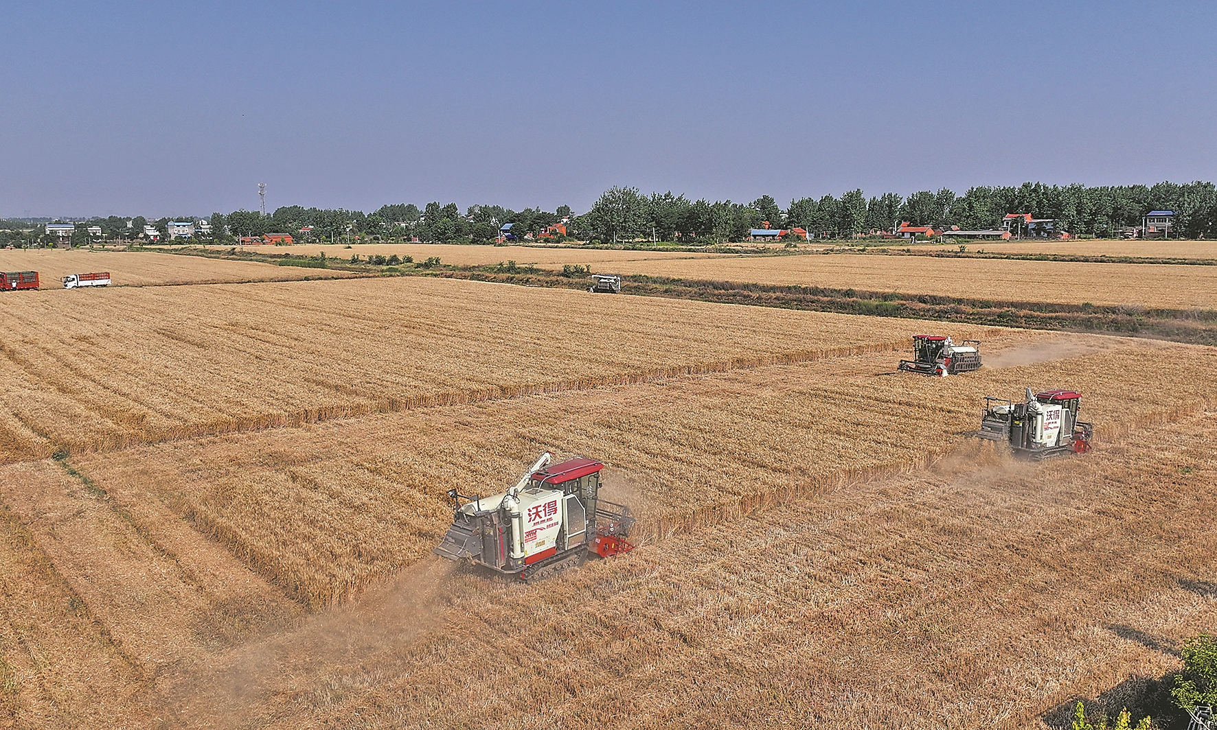 机收大比武 减损助丰收