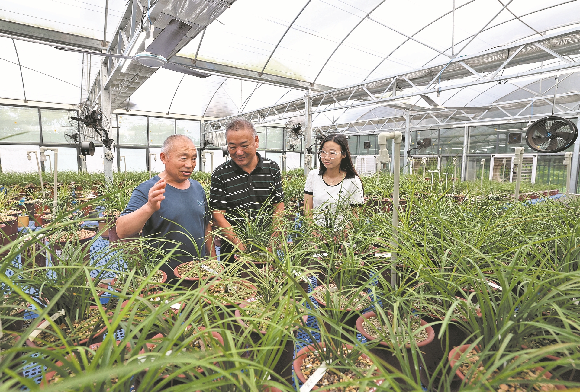 7月12日,在襄城区余家湖街道钱营社区五组智能化温控兰花大棚,种植户