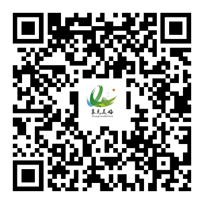 1758019774859.jpg 1758019774859.jpg