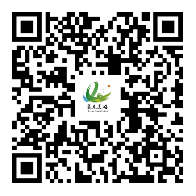 1758019896100.jpg 1758019896100.jpg