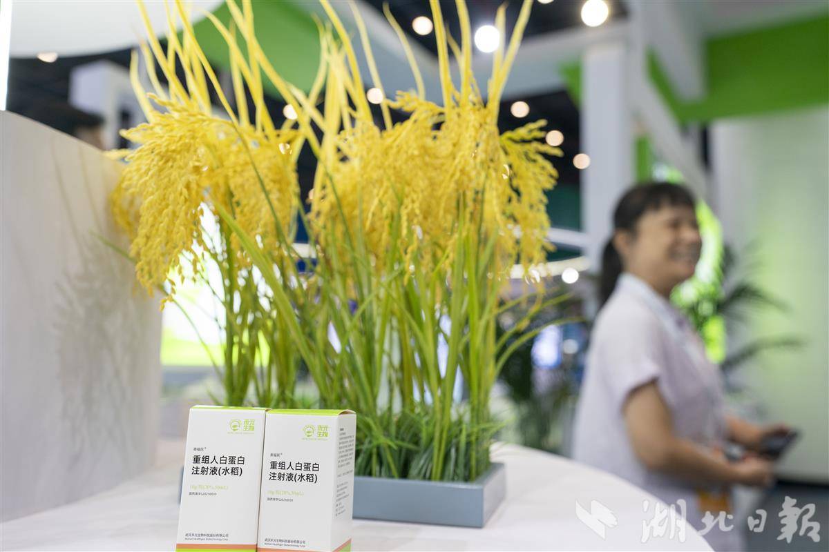 禾元生物展出从水稻中提取的重组人白蛋白注射液。(湖北日报全媒记者 魏铼 摄).jpg