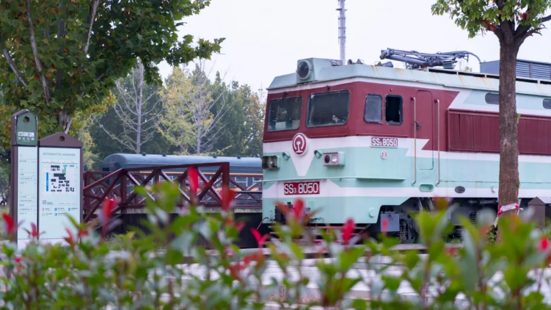 武汉人“破防”：这个老地方藏着心跳，正适合秋天去！