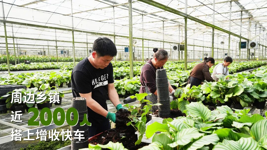 2021��6��5�գ��ں�������ʥ��ɽ�ϣ��������硣 (9).jpg