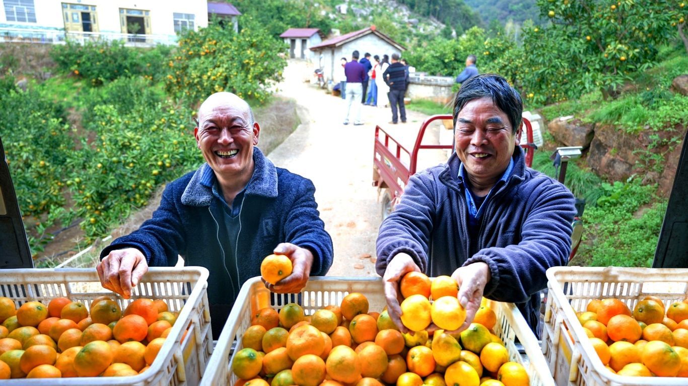 c39a9735fd01fa34443e26bbee8ec7b8 (1).jpeg