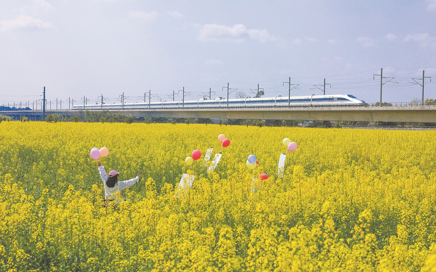 2月26日,游客在四川省泸州市龙马潭区特兴街道慈竹村赏油菜花。新华社 发