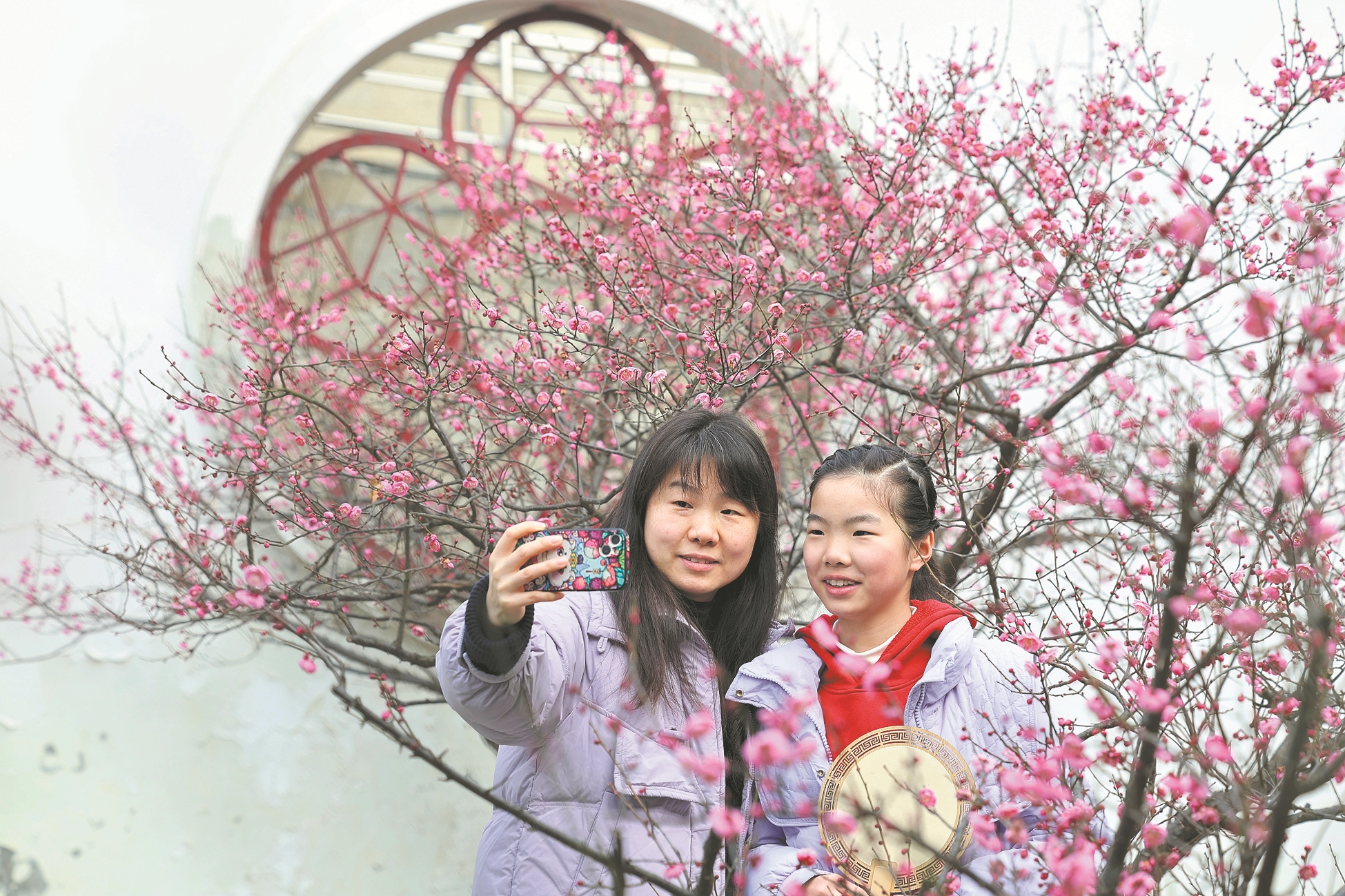 市民在襄城区万山梅花园游玩、拍摄。 记者 杨东 摄
