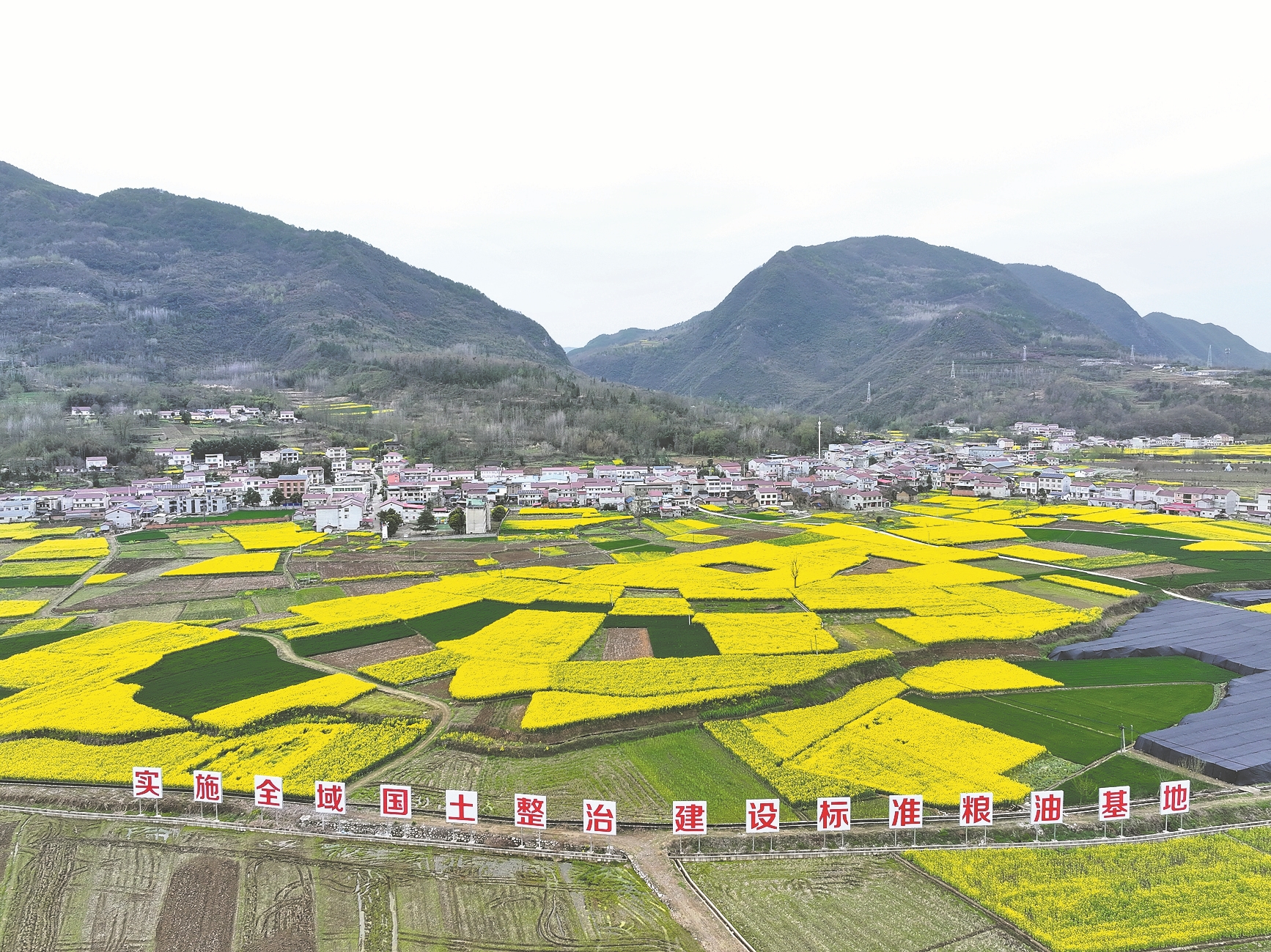 保康县马良镇潮水村一片片金黄的油菜花田如诗如画。特约通讯员 杨韬 摄