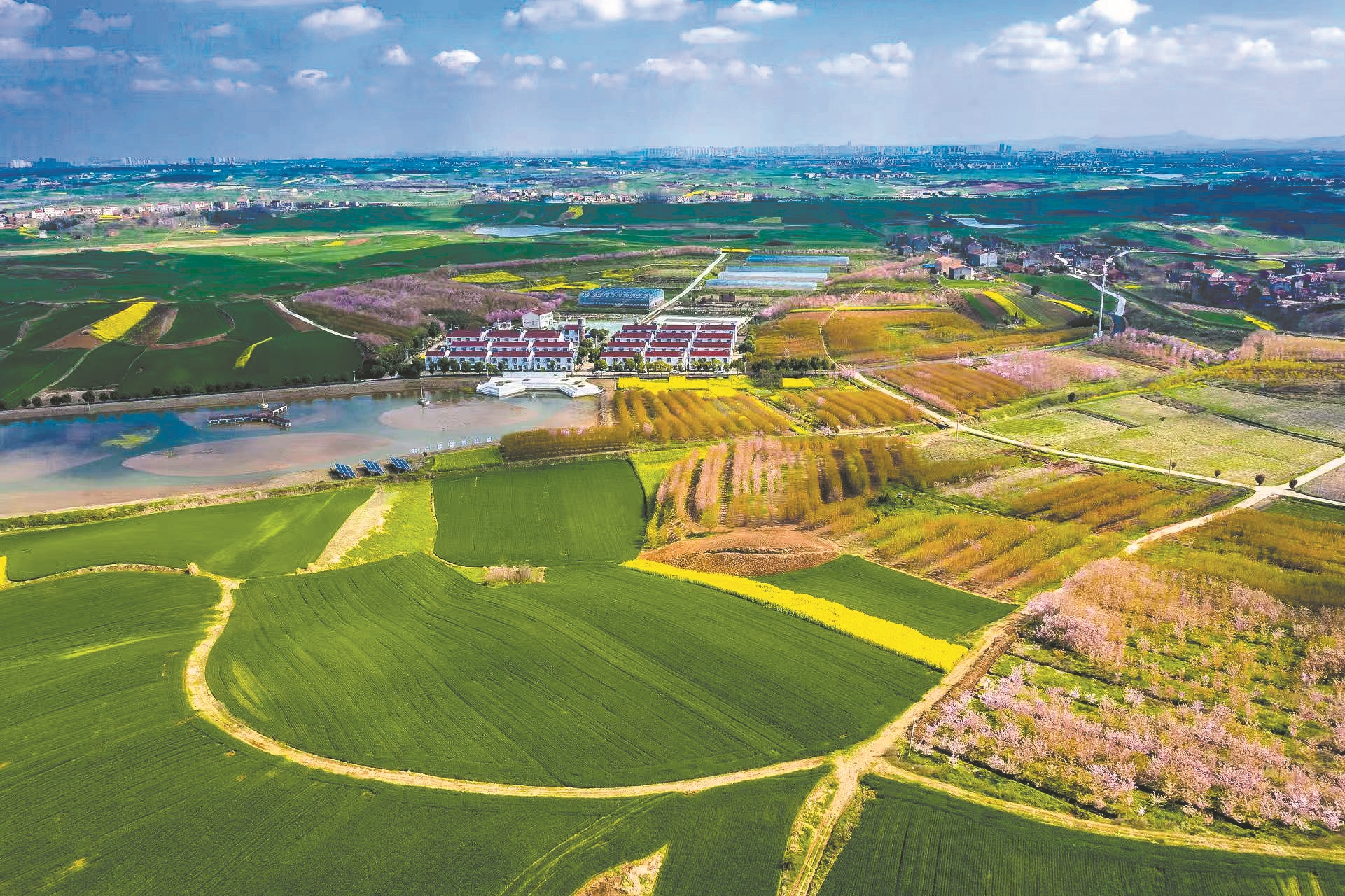 繁花似锦的美丽乡村。