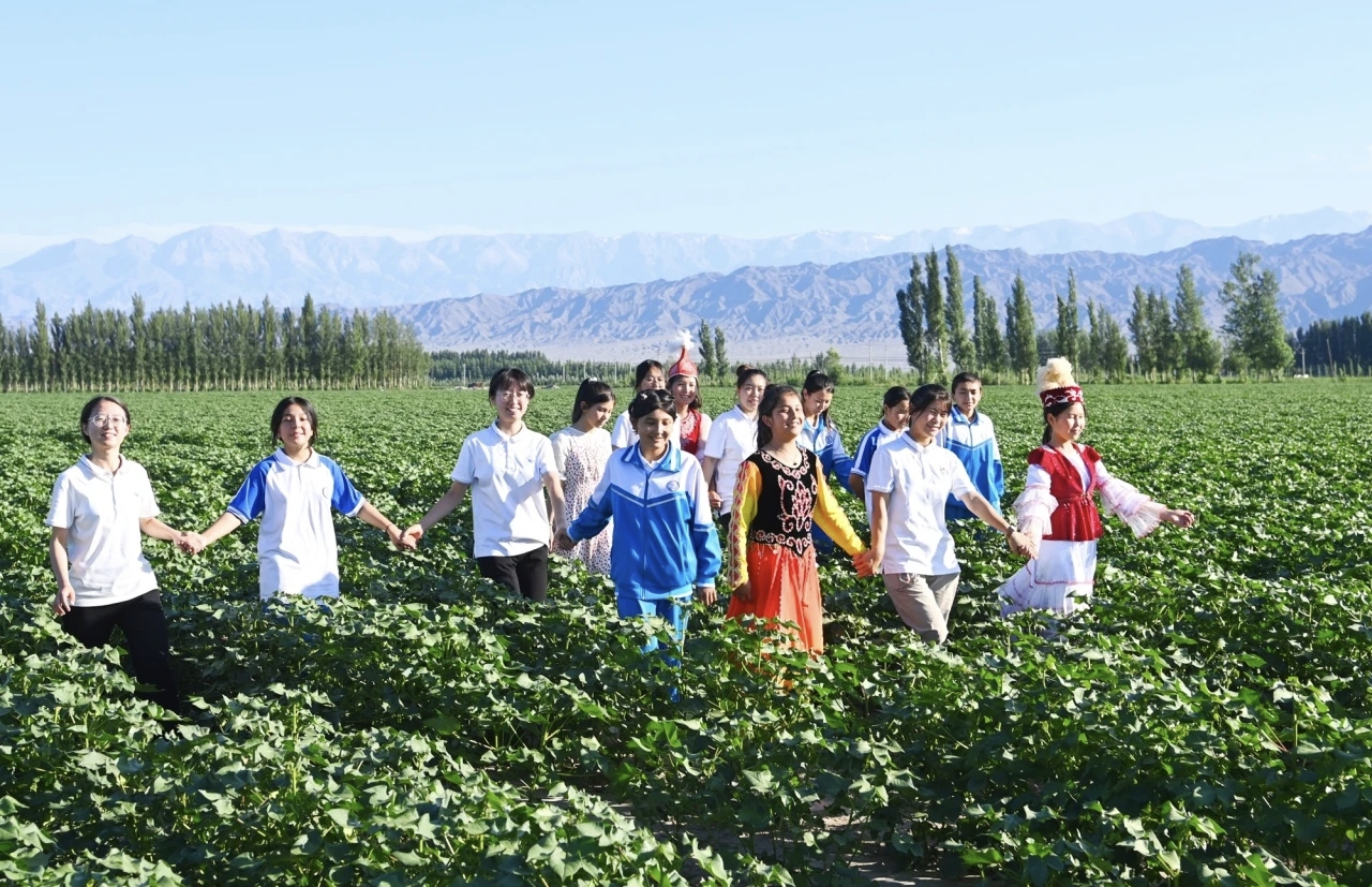 (6月27日,“雪莲花”支教团队队员带领学生在天山脚下的棉花地里开展活动,亲近大自然)