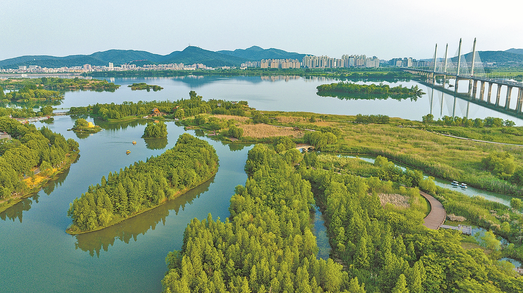 月亮湾湿地公园 记者杨东 摄
