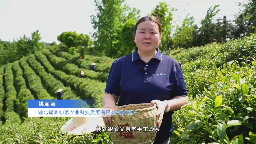返乡三业 | 姚丽丽——三代茶香 一叶归心
