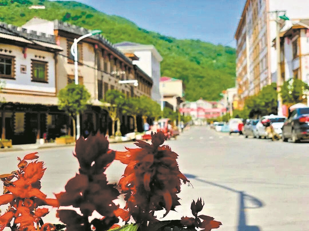 龙坪镇高山民宿。