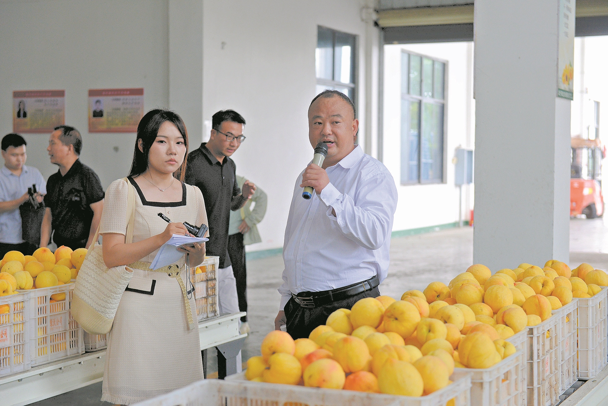 湖北千果派生态农业有限公司董事长周延涛向记者介绍产业发展情况。