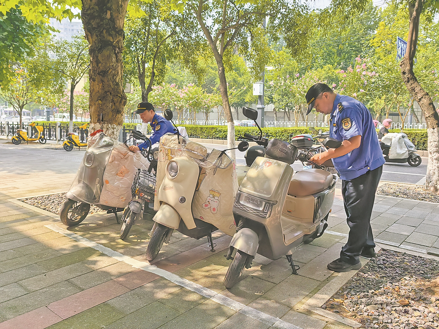 紫贞街道综合执法中心工作人员规范“三车”停放秩序。 记者 陈莉莉 摄