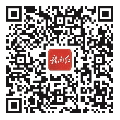 扫码查看更多内容