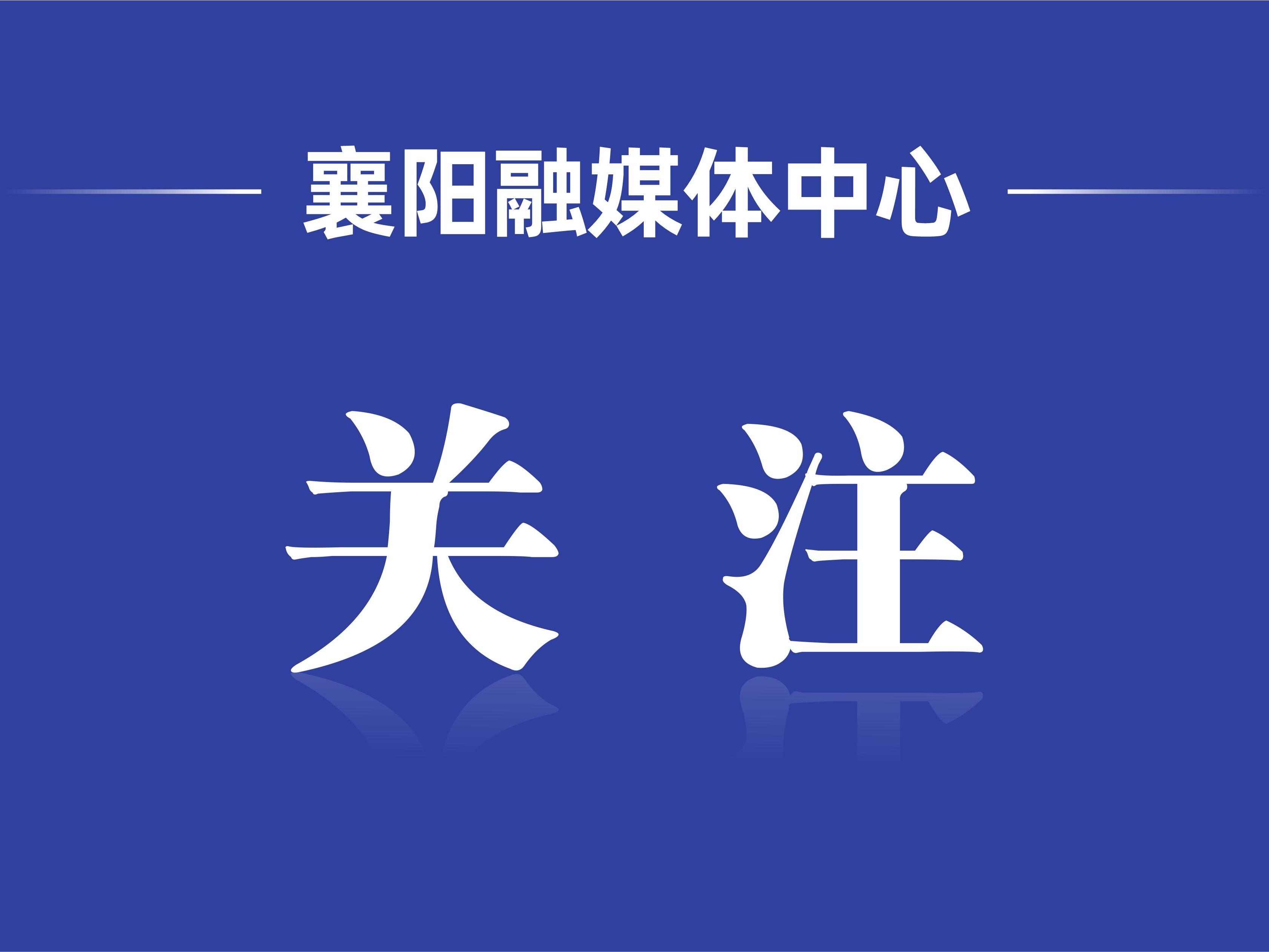 全面解析ng28电子游戏官网入口的功能与优势