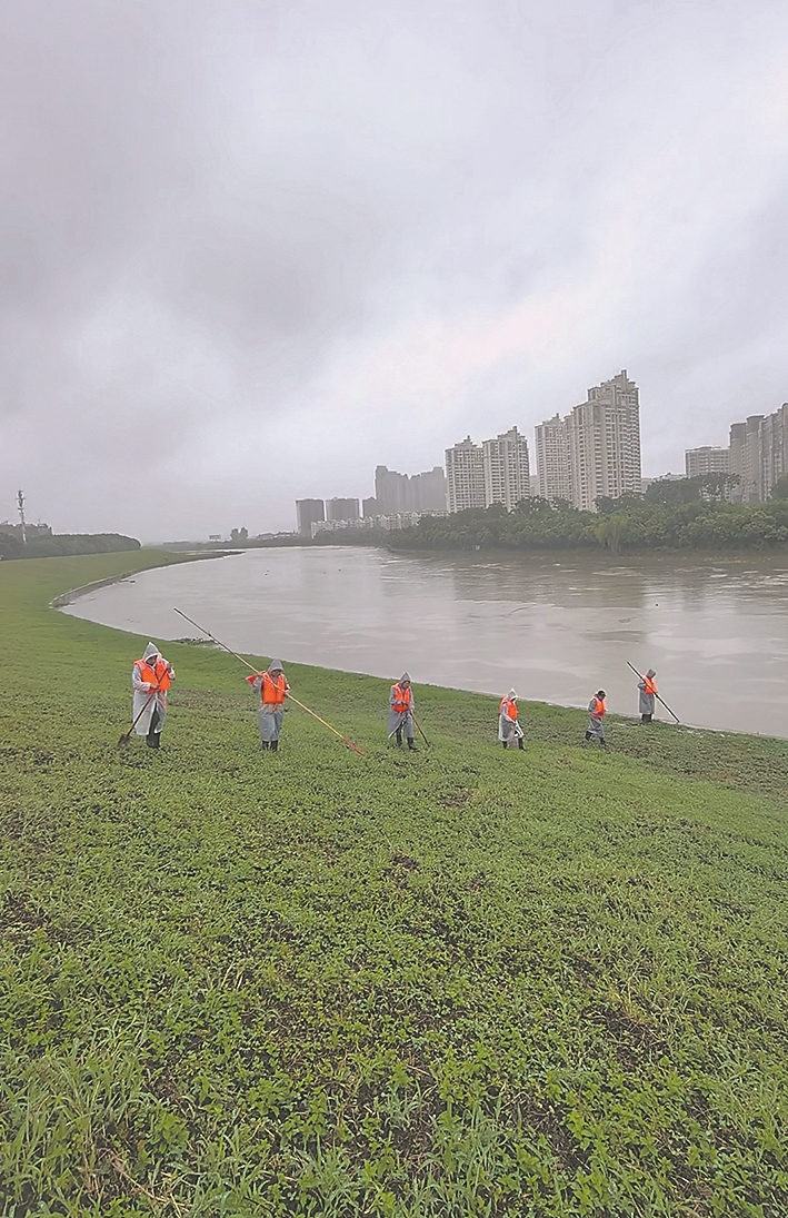 襄阳市河道堤防管理局小清河段工作人员开展巡堤查险工作。记者 孙凤玲 摄