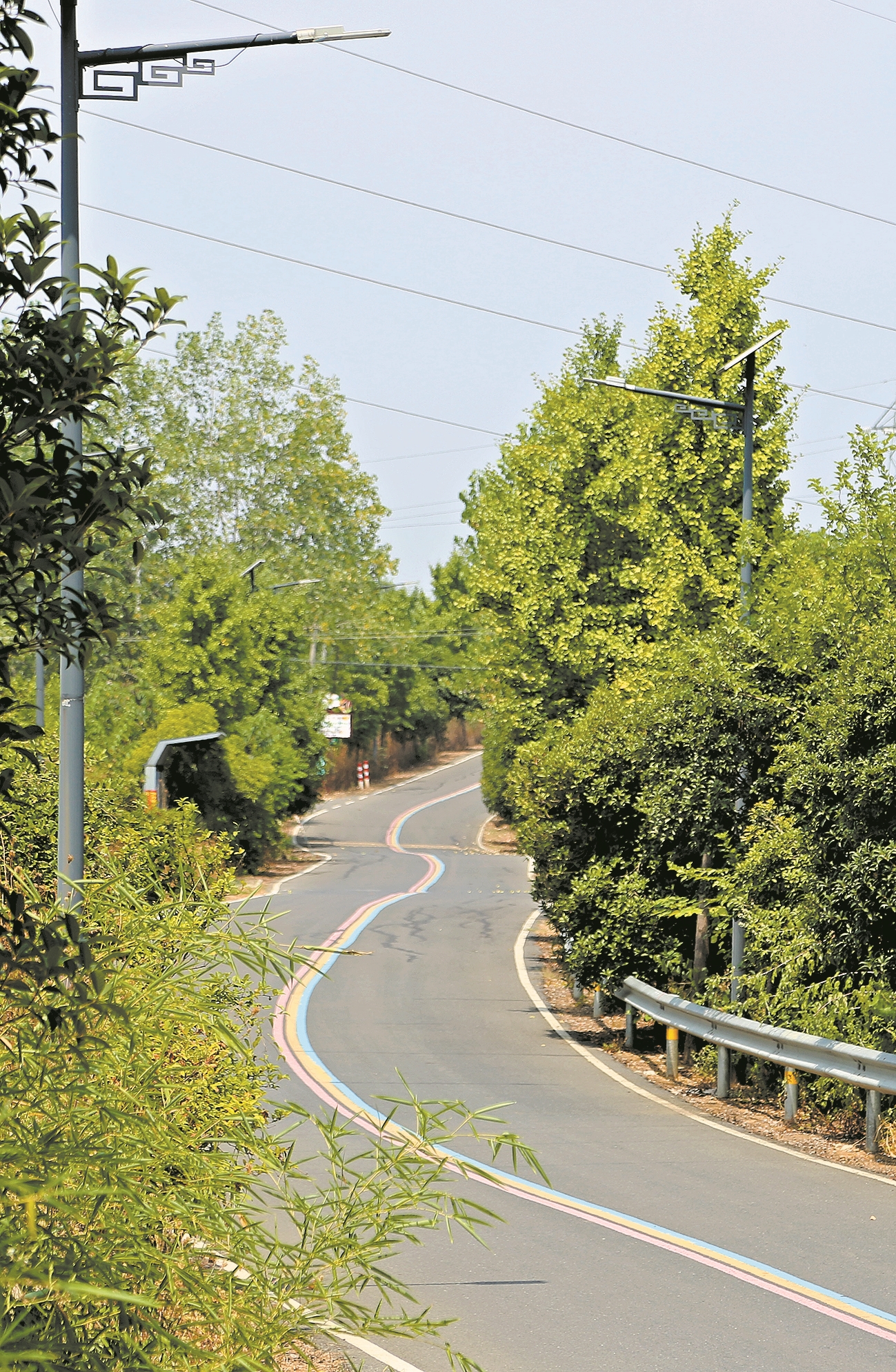 通村道路刷黑亮灯。