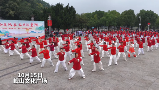 2026年“我们的节日·重阳”文明实践主题活动圆满落幕