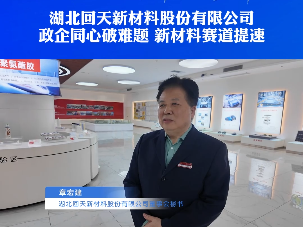湖北回天新材料股份有限公司：政企同心破难题 新材料赛道提速